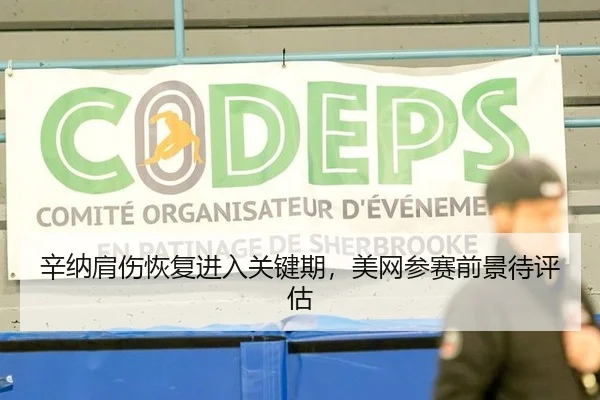辛纳肩伤恢复进入关键期，美网参赛前景待评估
